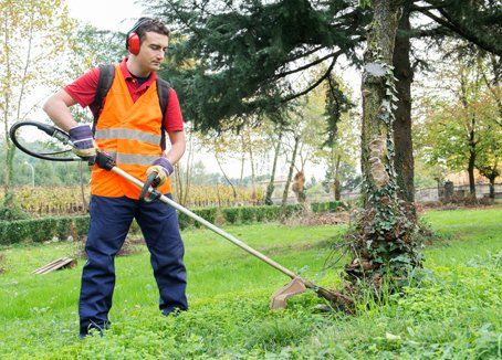 Gardener working — Lawn Service in Bothell, WA