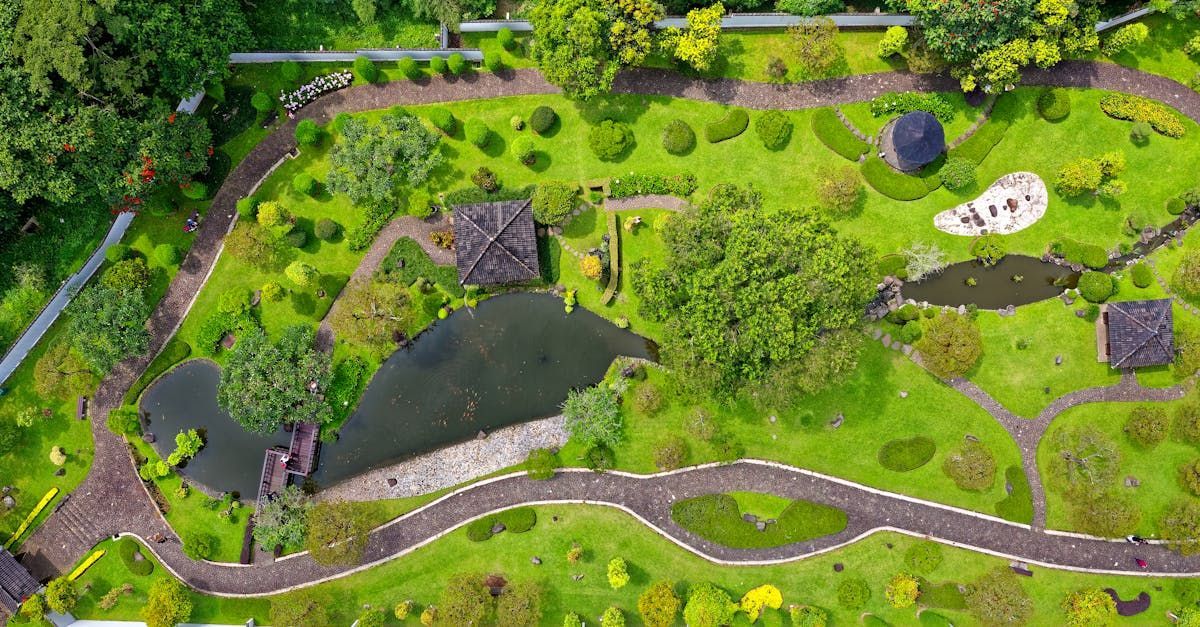 An aerial view of a park with a pond and trees.