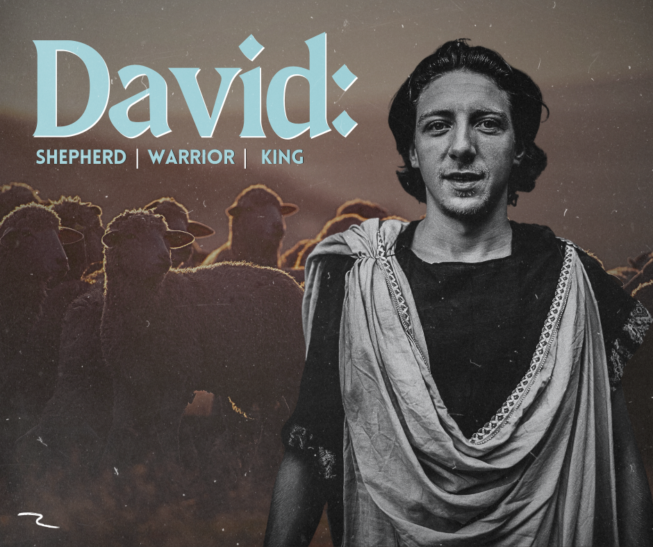 David Packouzs Wife The Choices That Shaped Her Destiny - nnpe056