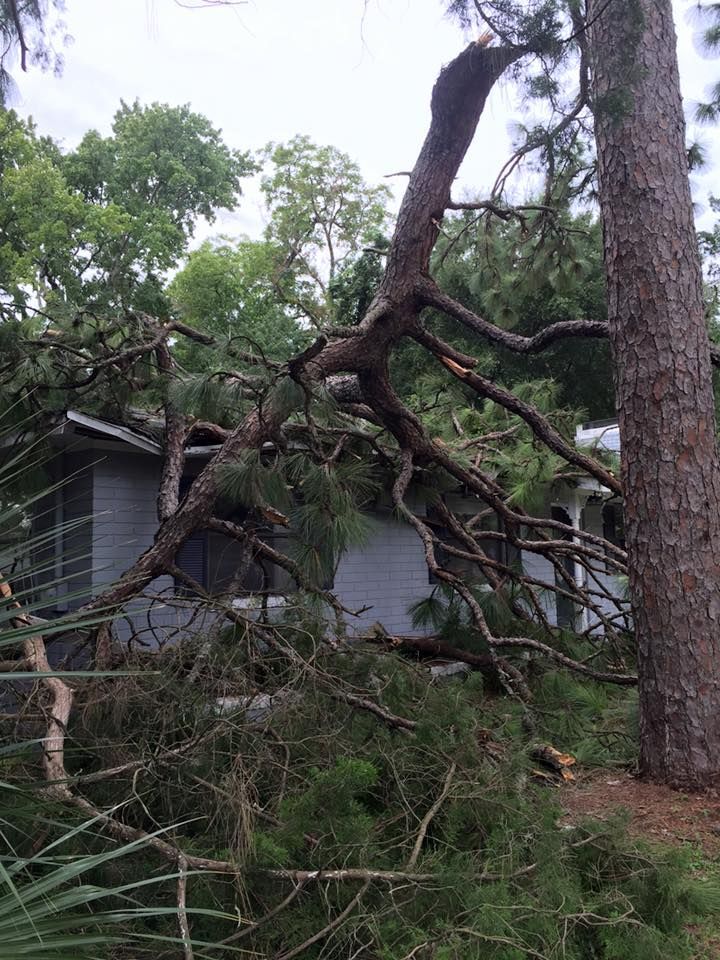 A tree that has fallen on top of a house.
