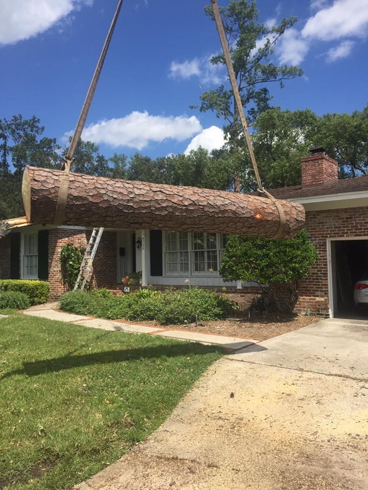A large log is being lifted by a crane in front of a house.