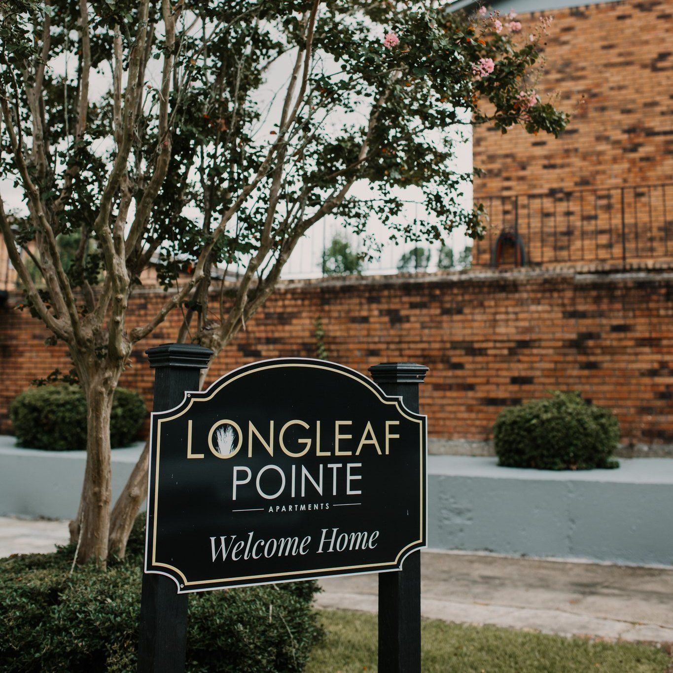 Longleaf Pointe Apartments Homes