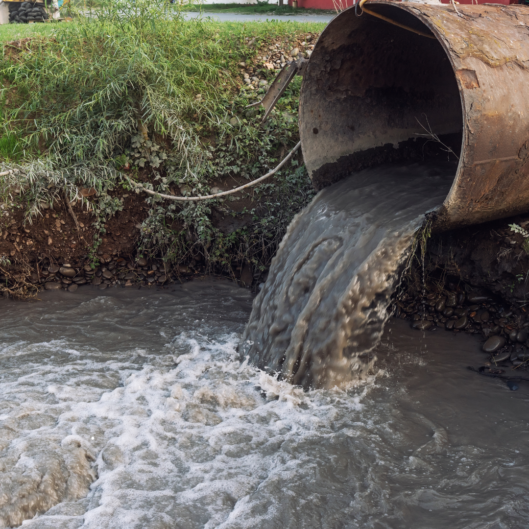 Dark water pouring from a large pipe, polluting a stream.