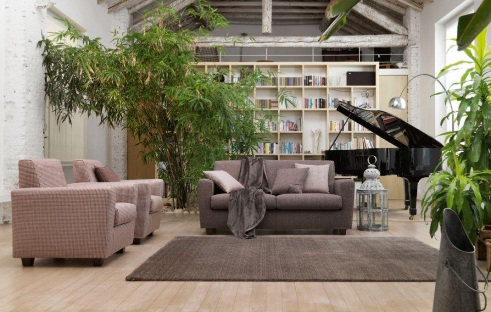 salotto con divani e ampia libreria