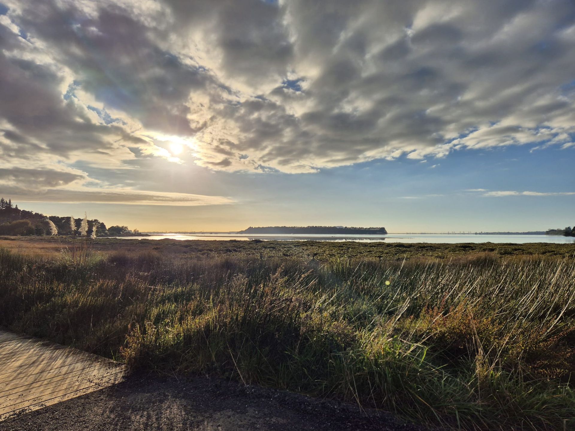 Golden sun over water and tall grass, with cloudy sky.