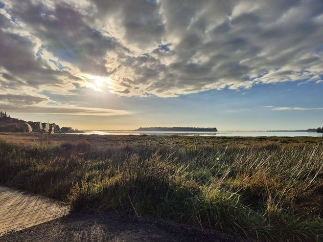 Golden sun over water and tall grass, with cloudy sky.