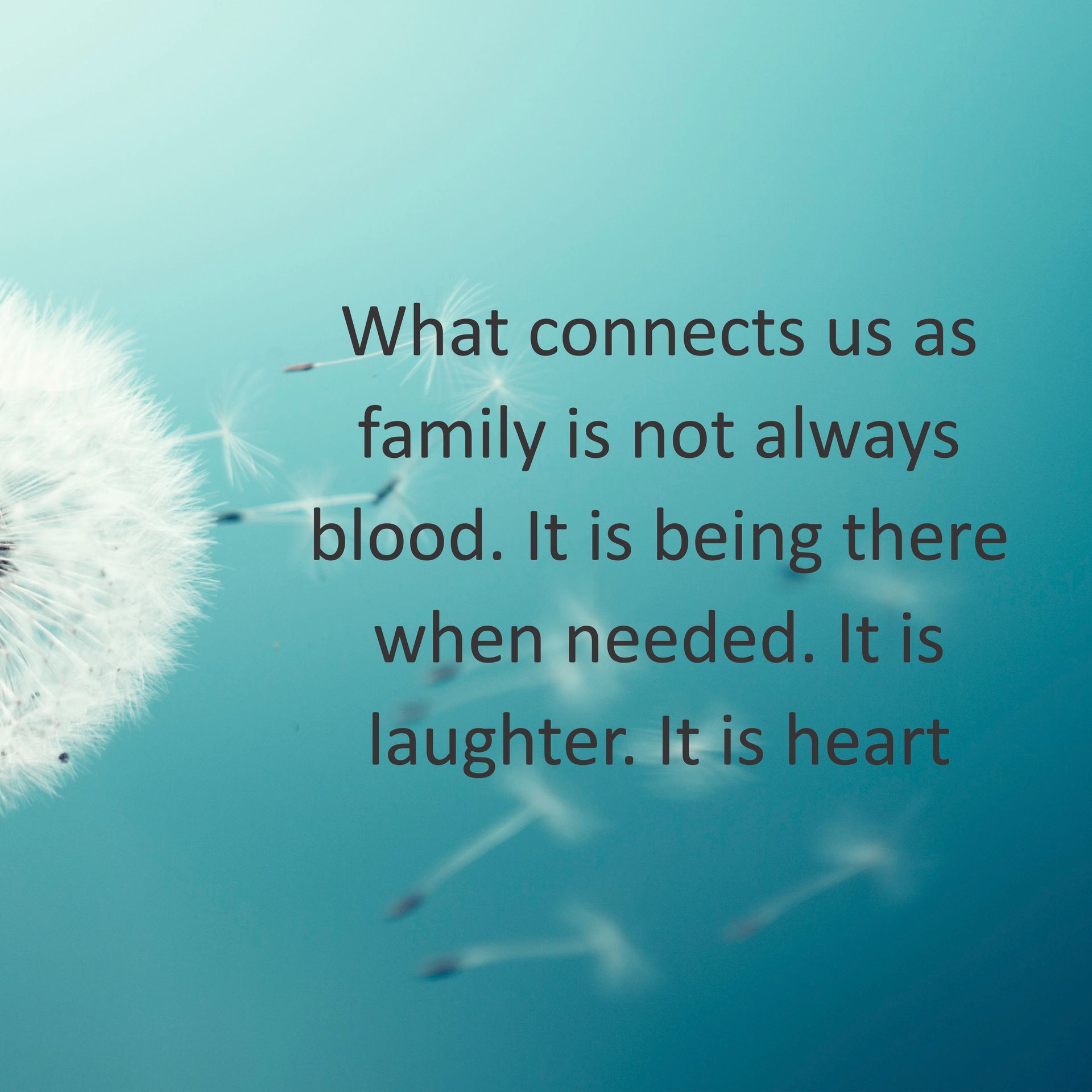 White dandelion seeds blowing in the wind with text about family values.