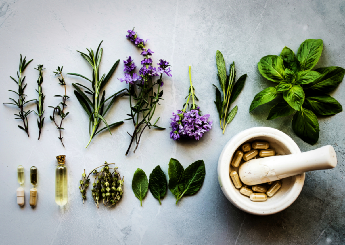 Plantas medicinais e fitoterapia – quando bem indicadas fazem diferença de verdade
