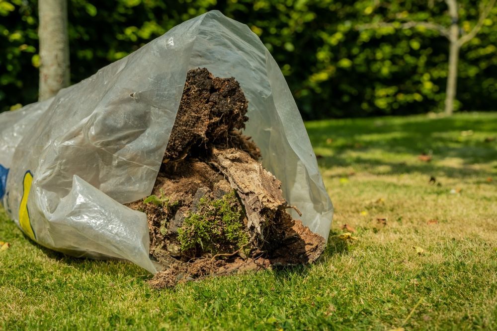 Plastic Bag Filled With Dirt, Moss, and Wood Debris on Green Grass — All Suburbs Garden Bags in Edge Hill, QLD