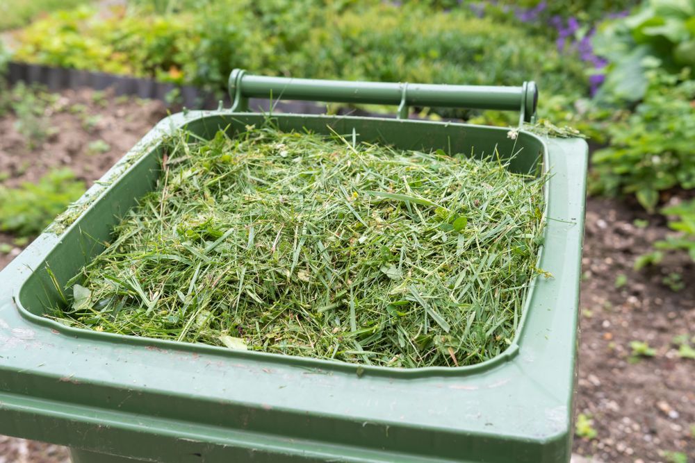 Green Bin Filled With Fresh Cut Grass in a Garden Setting — All Suburbs Garden Bags in Yorkeys Knob, QLD