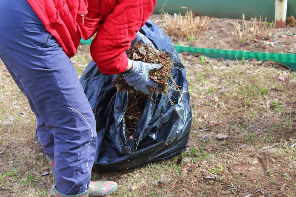 Person in Red Jacket and Blue Pants Puts Debris in a Black Trash Bag — All Suburbs Garden Bags in Gordonvale, QLD