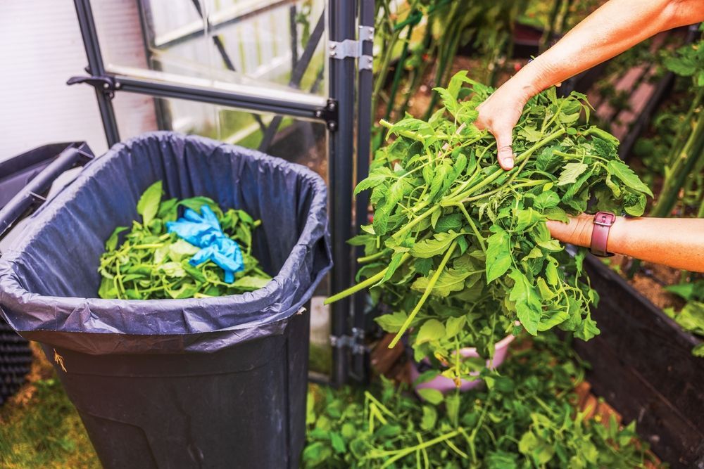 Hands Putting Green Plant Cuttings Into a Black Trash Can — All Suburbs Garden Bags in Mount Sheridan, QLD