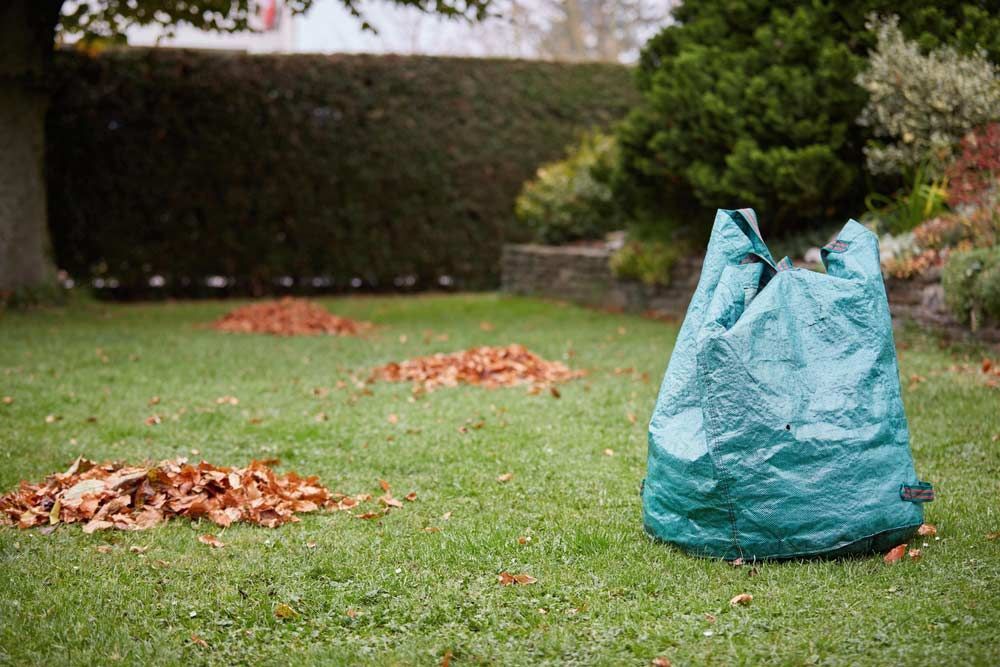 Green Yard Waste Bag on a Lawn With Piles of Fallen Leaves — All Suburbs Garden Bags in Kuranda, QLD