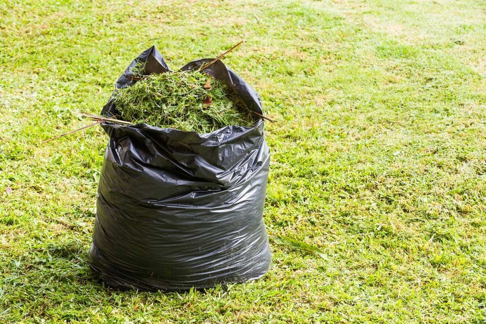 Black Garbage Bag Filled With Green Yard Waste on a Grassy Lawn — All Suburbs Garden Bags in Smithfield, QLD