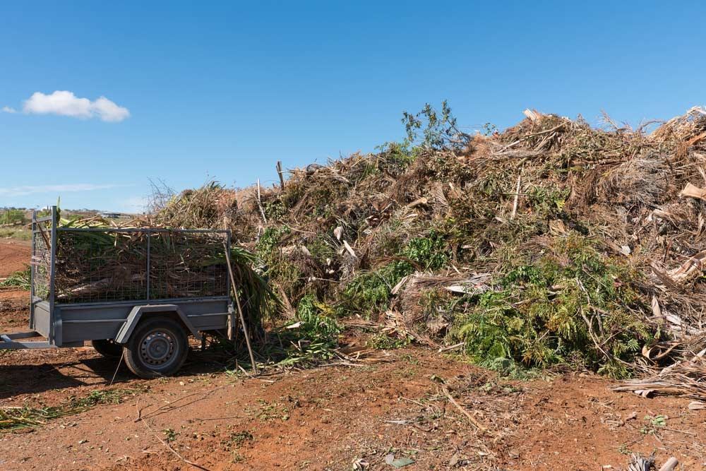 Trailer Loaded With Brush Near a Large Pile of Yard Waste — All Suburbs Garden Bags in Holloways Beach, QLD