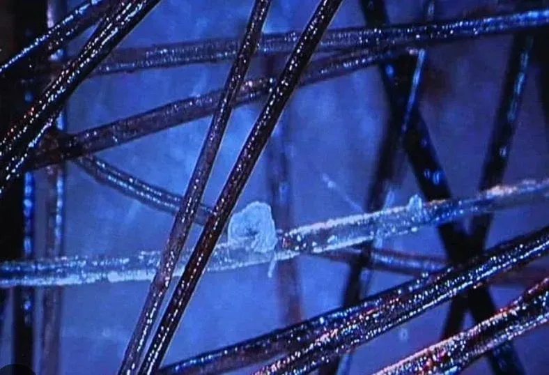 Close-up of strands of hair with visible dandruff flakes on a blue background.