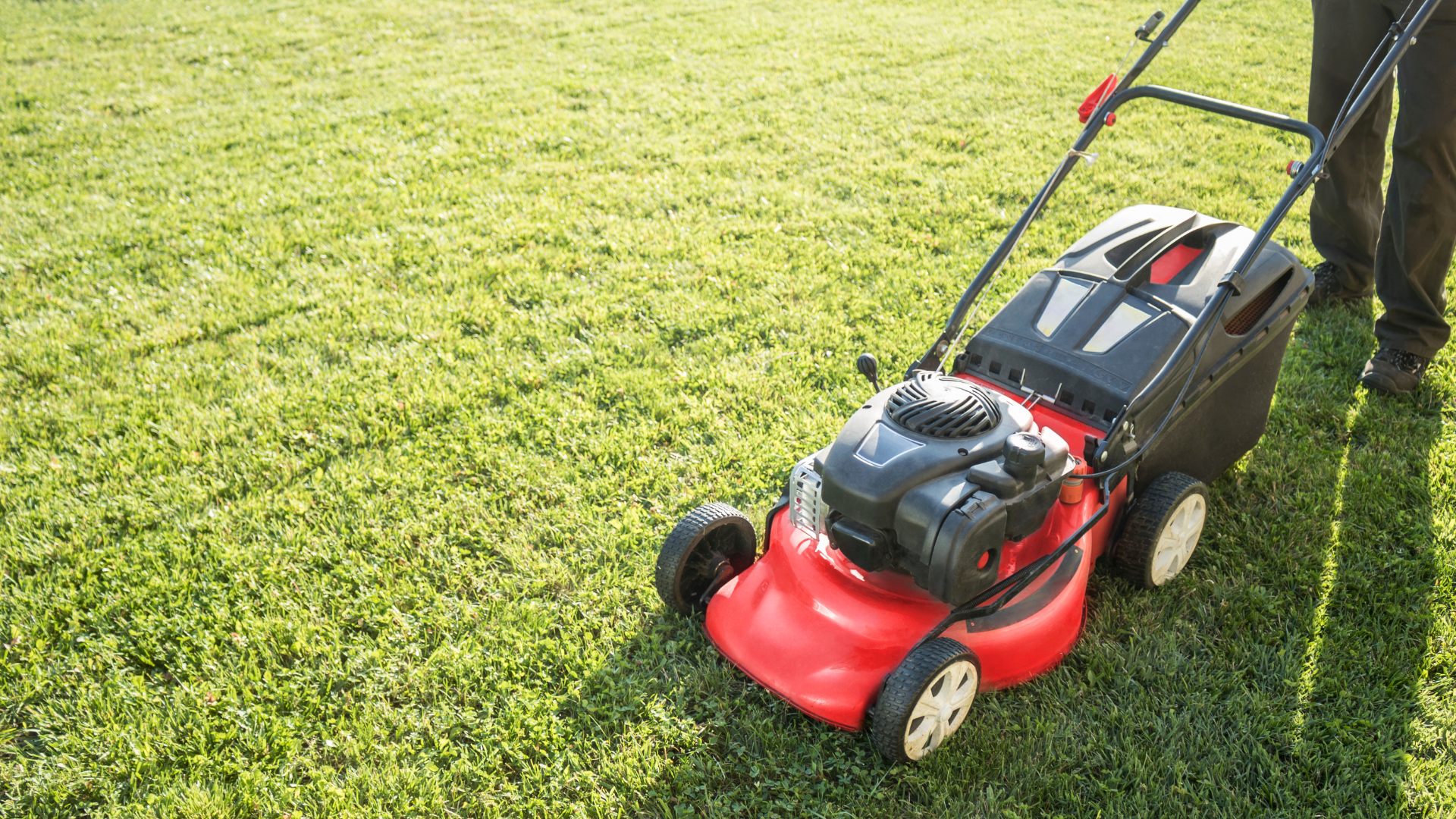 Landscaping Services img