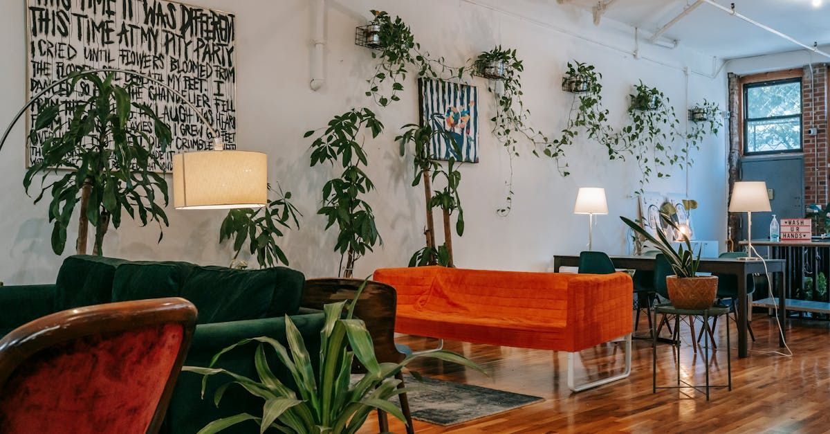 A living room with a couch , chairs , lamps and plants.