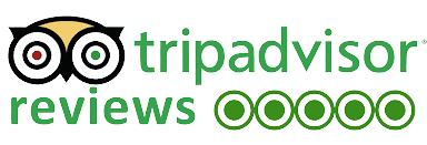 Tripadvisor Reviews
