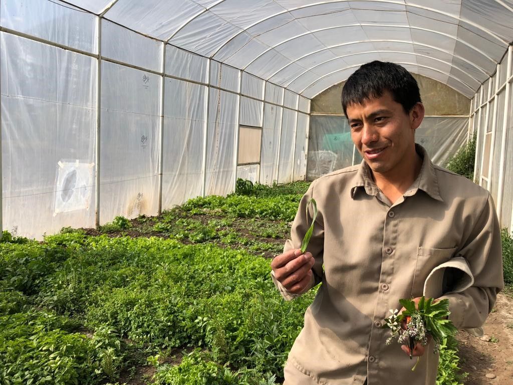 From the Orchard to the Table