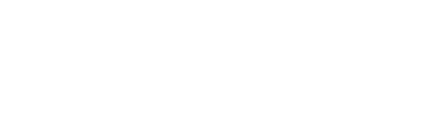 Blue Star Management logo