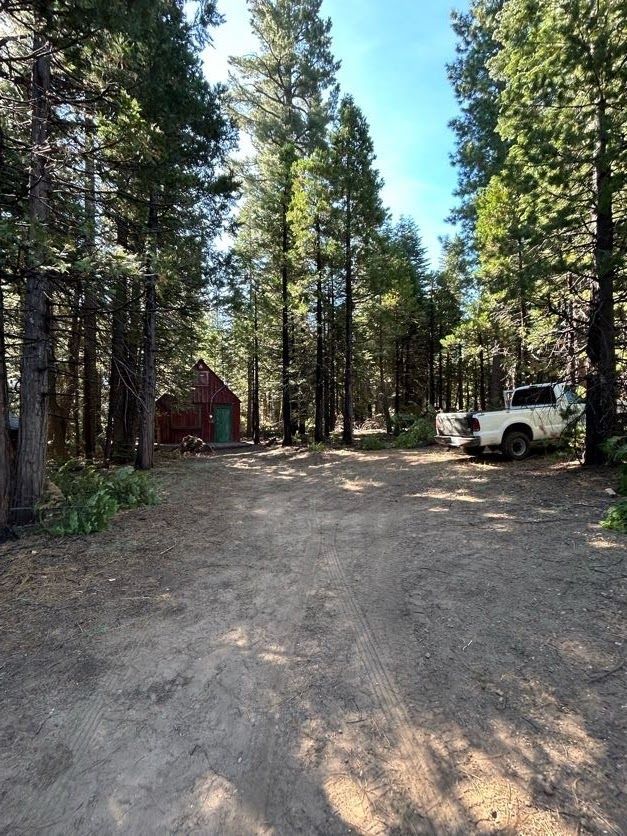 Dirt road leading to a cabin in a forest. White truck parked nearby.