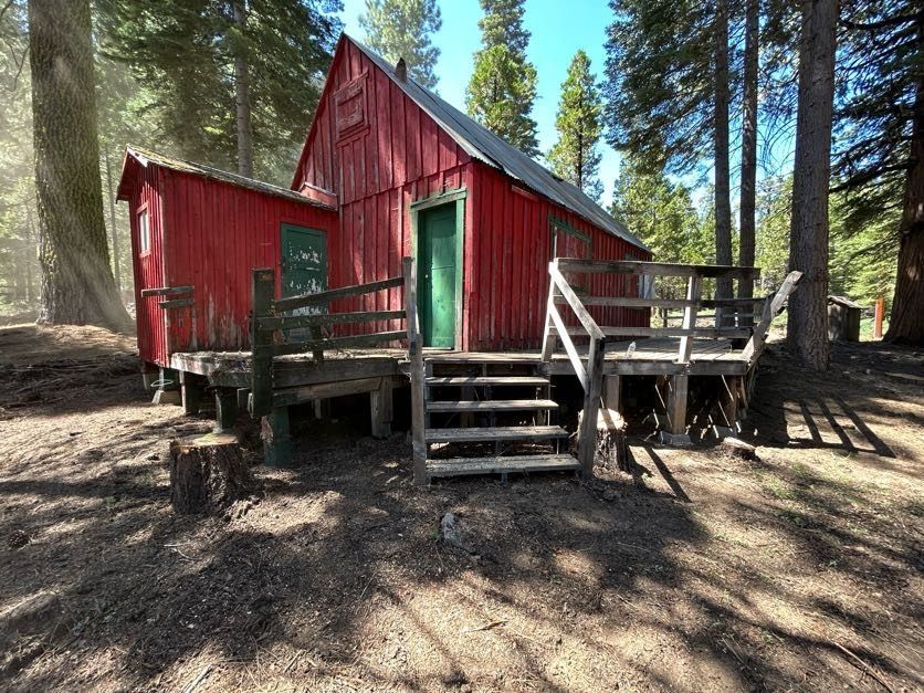 Red cabin in a sunny forest, with a green door and weathered wooden deck.