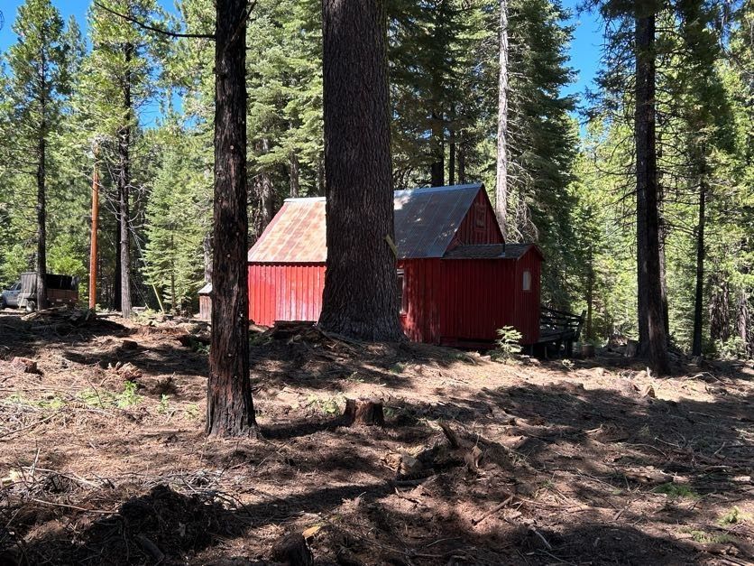 Red cabins nestled among tall trees in a sunny forest clearing.