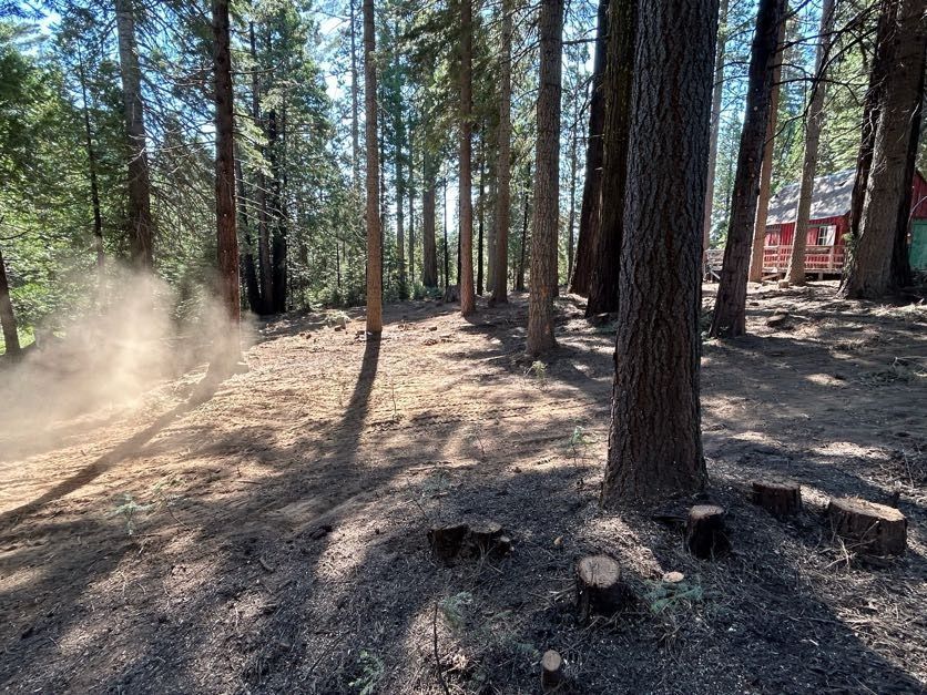 Dirt path in a forest, sunlit and dusty with a red building in the background.