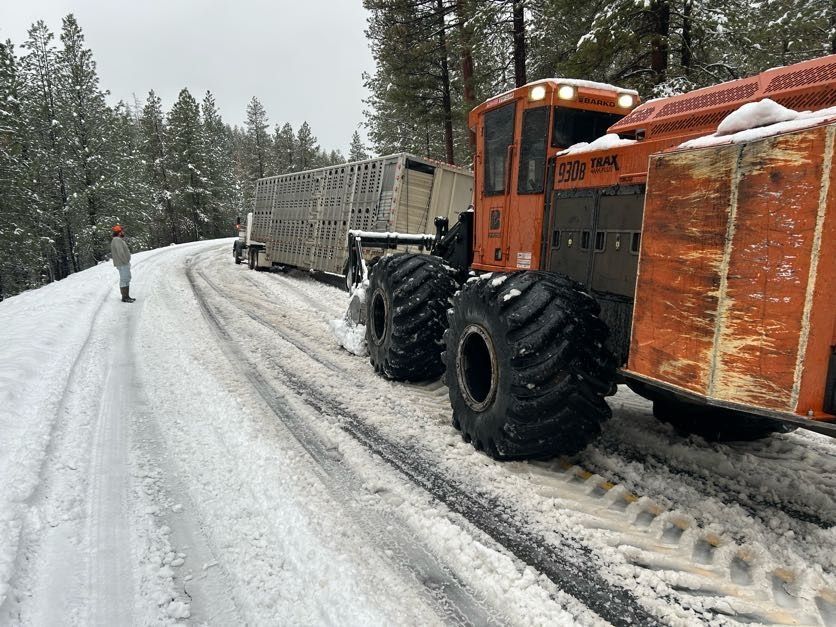 Orange tractor clearing a snowy road for a livestock truck on a forested road.