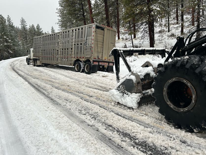 A livestock truck stuck in snow on a road is being pulled by a tractor.
