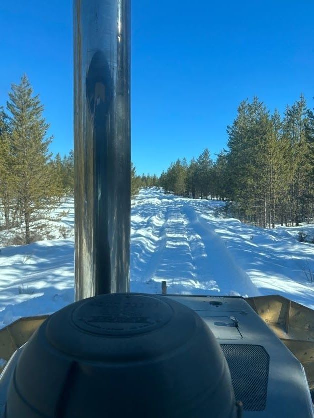 View from a vehicle on a snowy path through a pine forest under a clear blue sky.