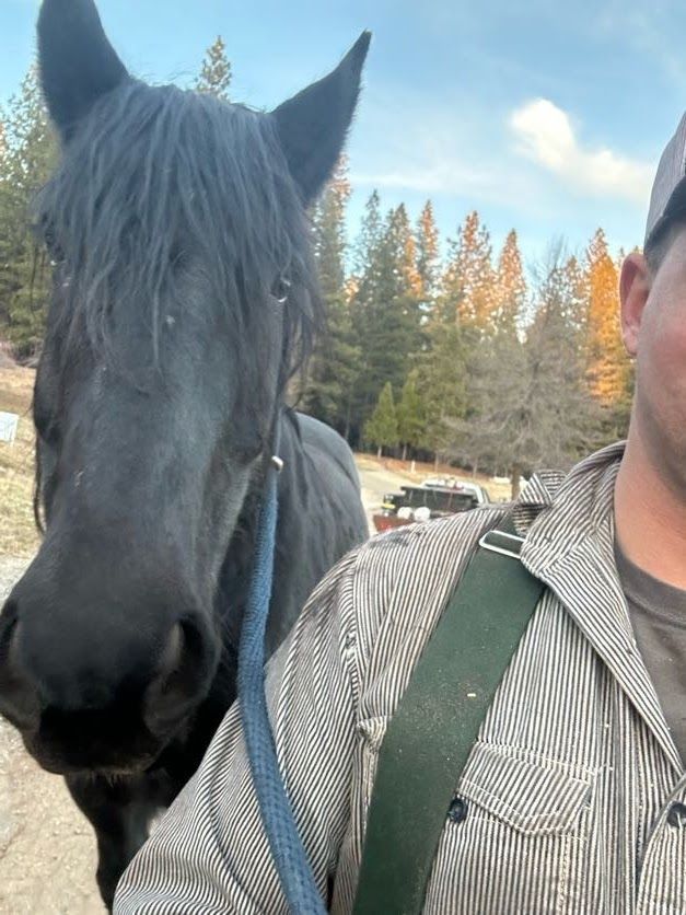 Man with a black horse; both looking at the camera. Horse has long black mane. Outdoors, trees in background.