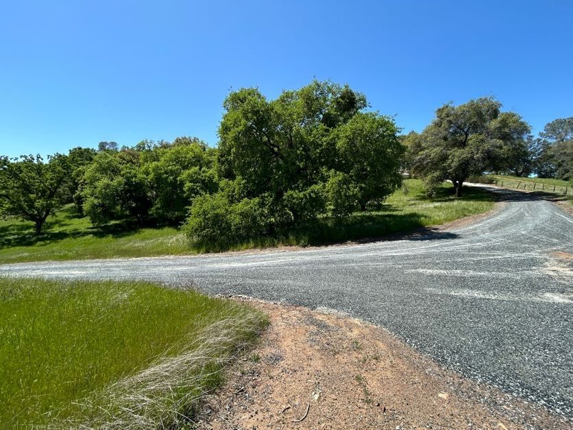Gravel road leading towards trees and a blue sky. Green grass and trees are visible on the left.