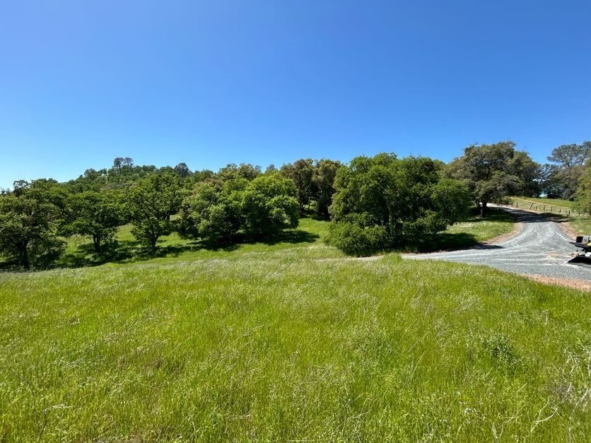 Green grassy field leading to trees and a gravel road under a blue sky.