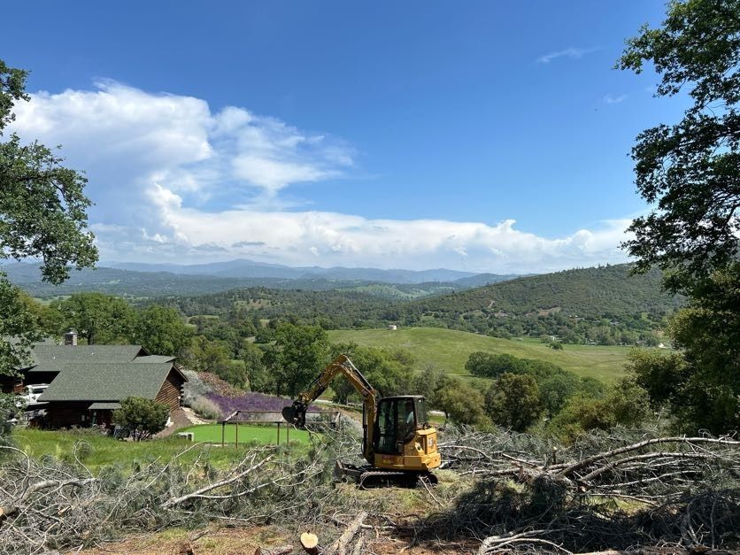 A yellow excavator is working in a field with a house in the background.