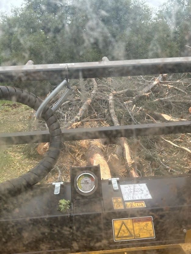 View from inside a machine with a gauge; a cut tree trunk and branches are visible in the background.