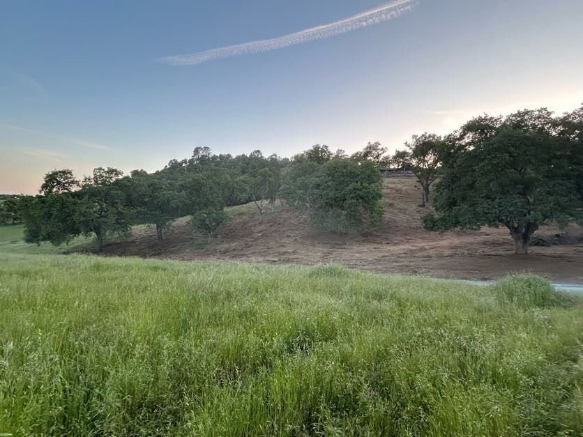 Green field with trees on a hillside under a blue sky with a single contrail.