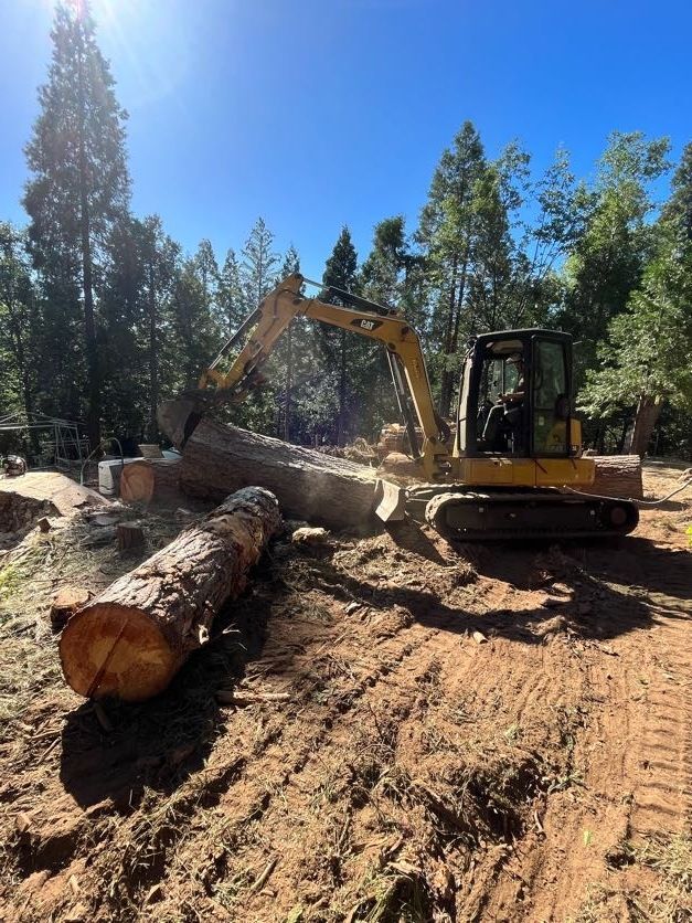 Excavator loading a large log in a forest clearing. Yellow machine, brown logs, blue sky.