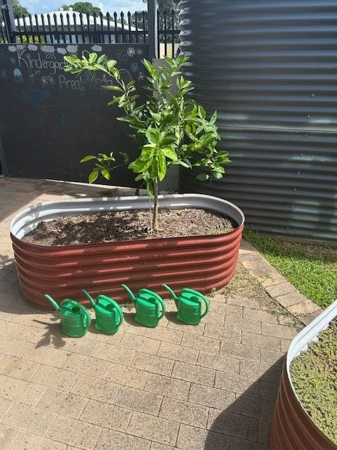 A Young Boy is Reading a Book in a Library — Birralee Child Care Centre Assn Inc In Mackay, QLD
