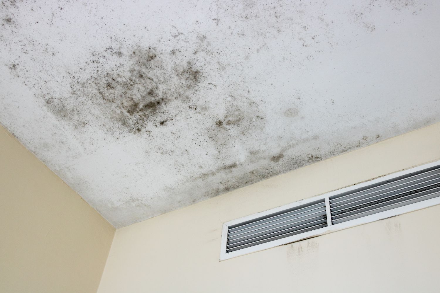 A ceiling with a lot of black mold on it.