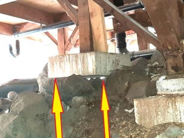 There are two arrows pointing up in the dirt.