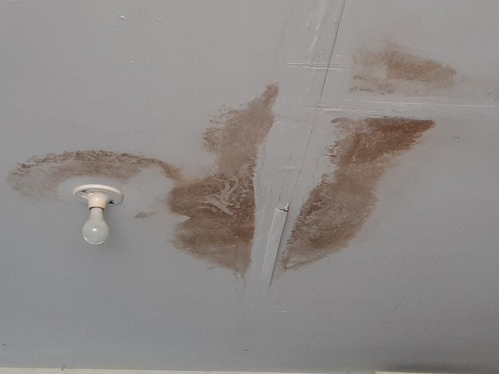 A light bulb is hanging from the ceiling of a room.