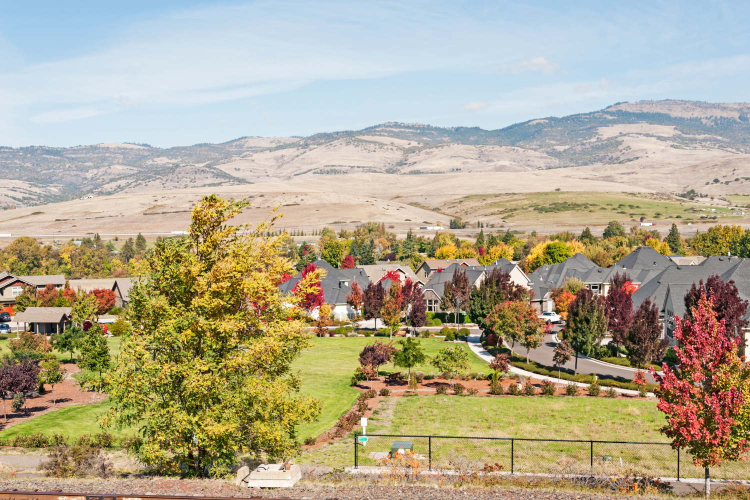 Catch All Background