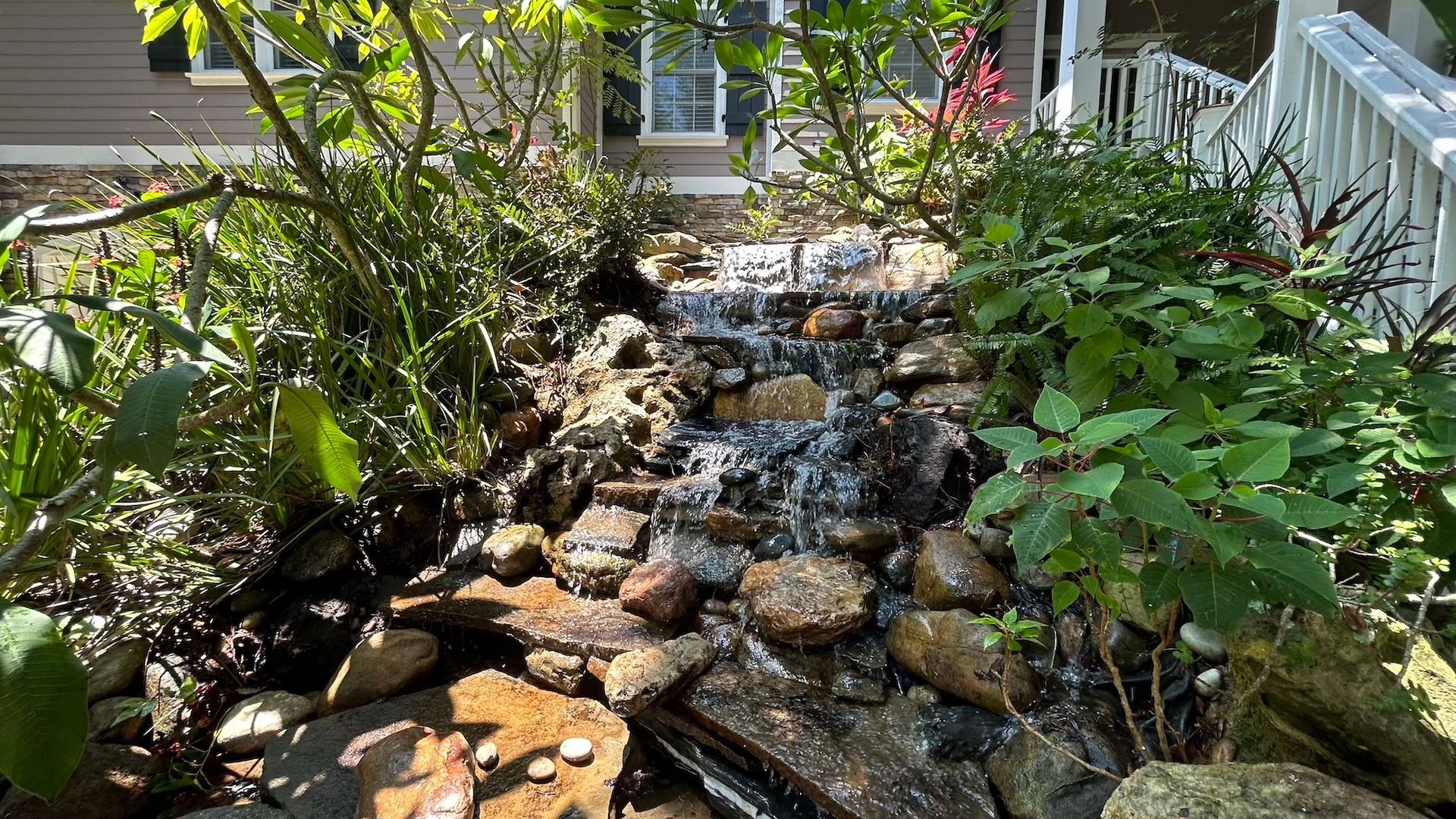 Water flows down a rocky creek bed surrounded by green plants, in front of a house.