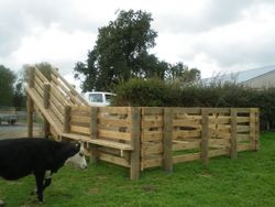 A farm fence in Horowhenua