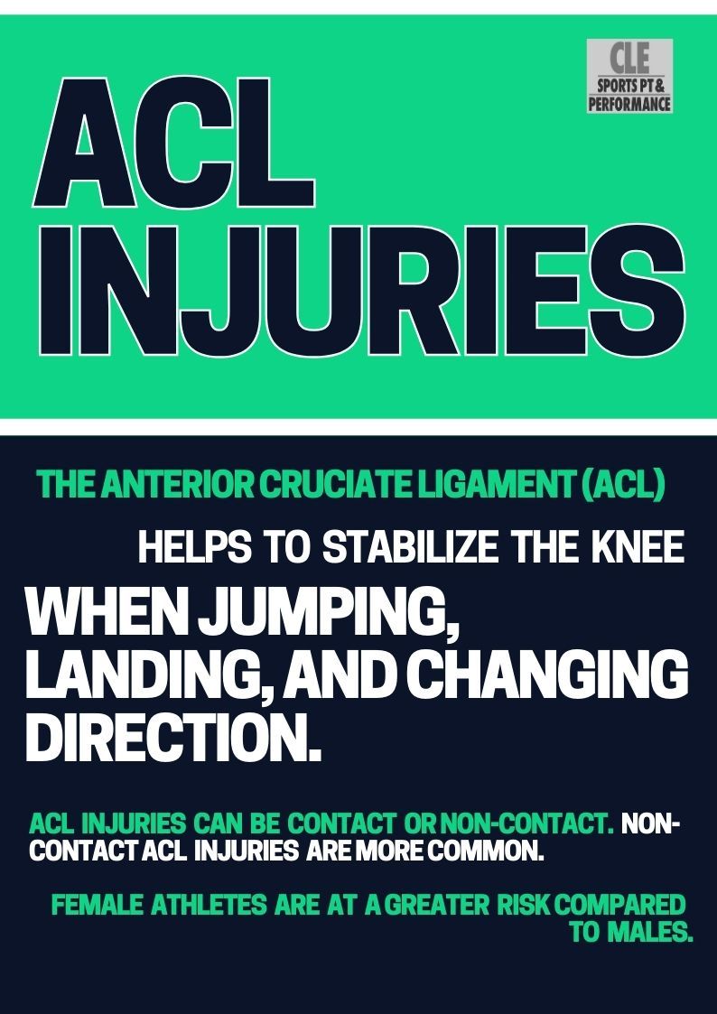 The Force Effect November 2023