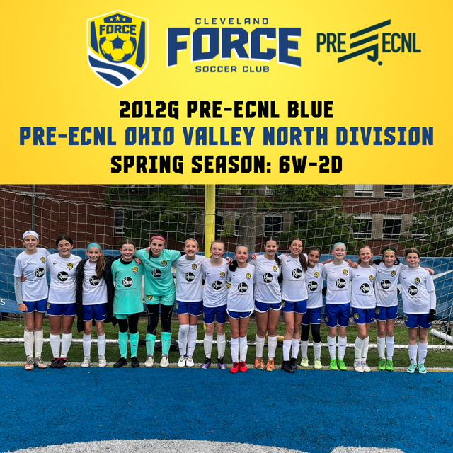 Eleven Force Brick Team SSC Napoli - Figurines Officielles Du Club De Football Napoli