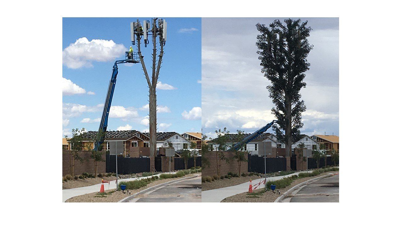 Lennar Rose Ridge cell tower in Henderson NV
