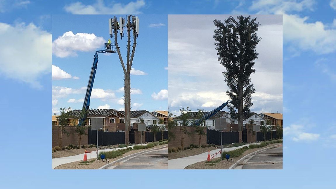 Lennar Rose Ridge cell tower in Henderson, Nevada